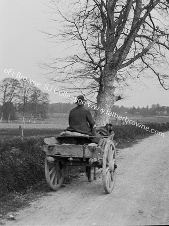 OLD MAN, DONKEY AND CART